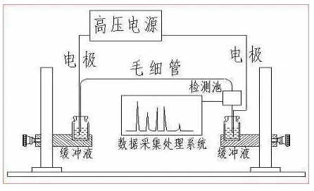 ATA-7050毛细管电泳功率放大器如何进行毛细管电泳实验 ATA-7050毛细管电泳功率放大器如何进行毛细管电泳实验