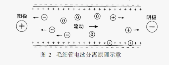 ATA-7050毛细管电泳功率放大器如何进行毛细管电泳实验 ATA-7050毛细管电泳功率放大器如何进行毛细管电泳实验